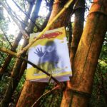 Bodilima | බෝදිලිමා