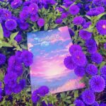 Lavender | ලැවෙන්ඩර්