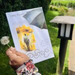 වැහිදාර | Wehidara