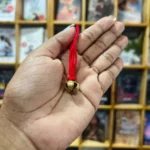 ගෙජ්ජිය | Gejjiya